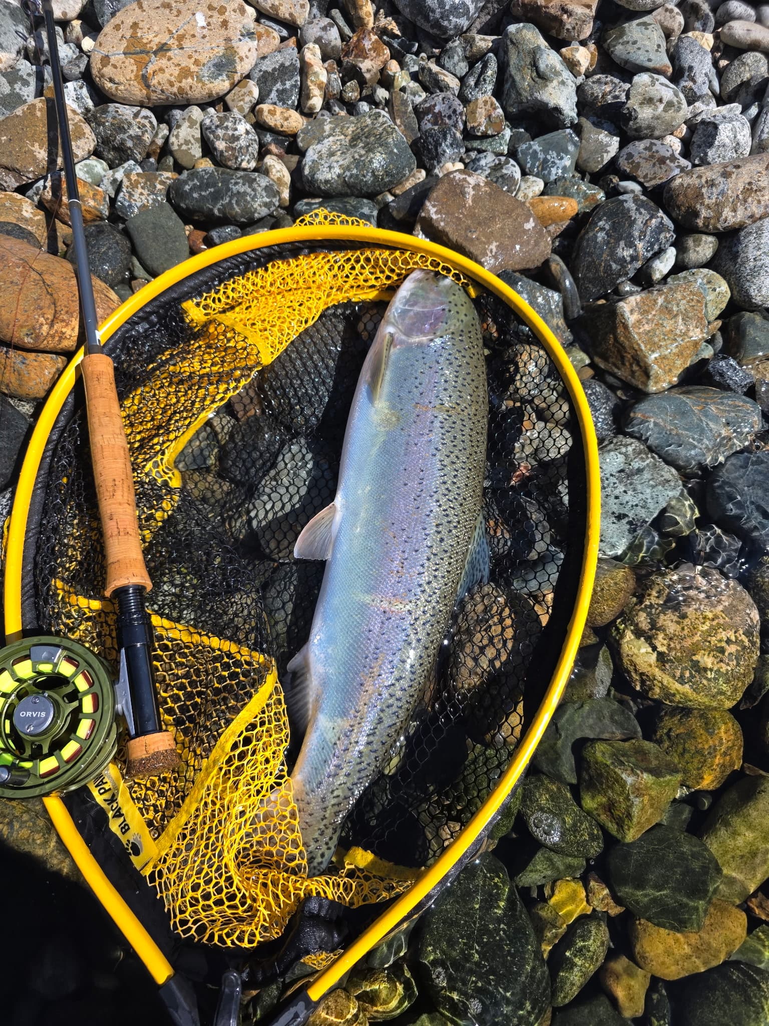 Professional fly fishing gear setup